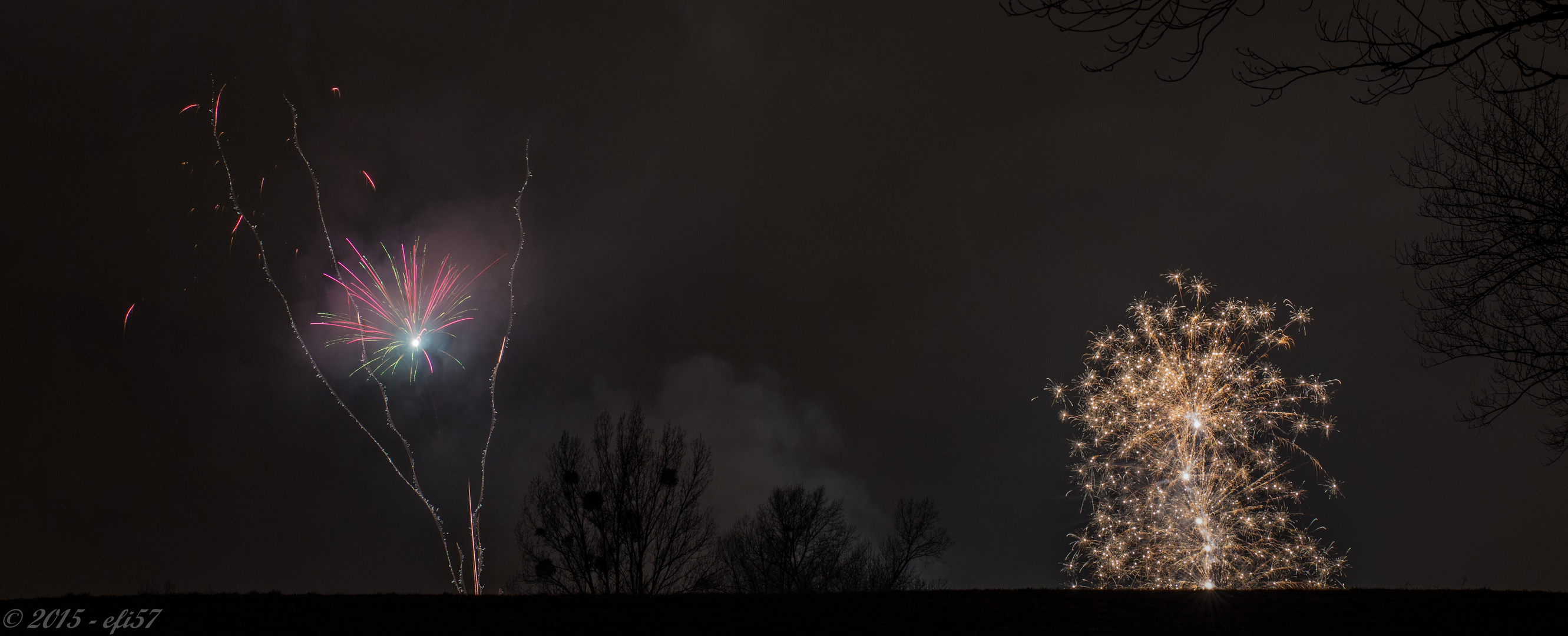 Feuerwerk 2016 - Bild 10 - Bäume aus Licht