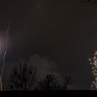 Feuerwerk 2016 - Bild 10 - Bäume aus Licht