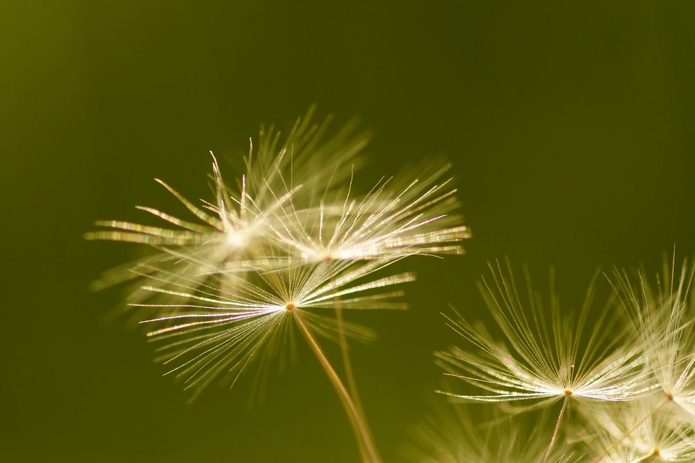 Feuerwerk