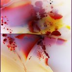 Kristalle & Edelsteine