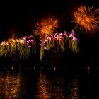 Feuerwerk am überm Bodensee