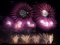 Feuerwerk am Zürifäscht 2013 von animalphotography 