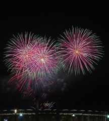 Feuerwerk auf der Pyronale 2014