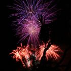 Feuerwerk auf Madeira