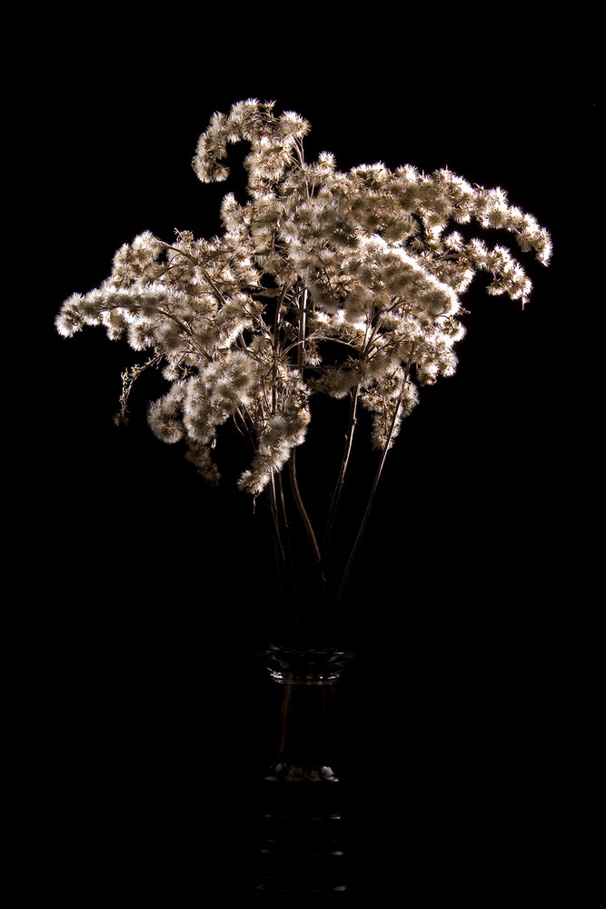 Feuerwerk aus der Blumenvase