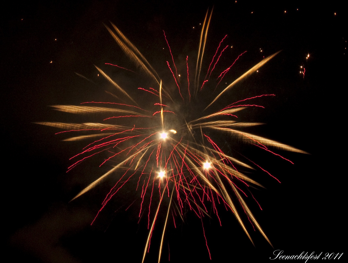 Feuerwerk beim Seenachtsfest II (Konstanz, 2011)