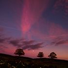 Feuerwerk der Natur