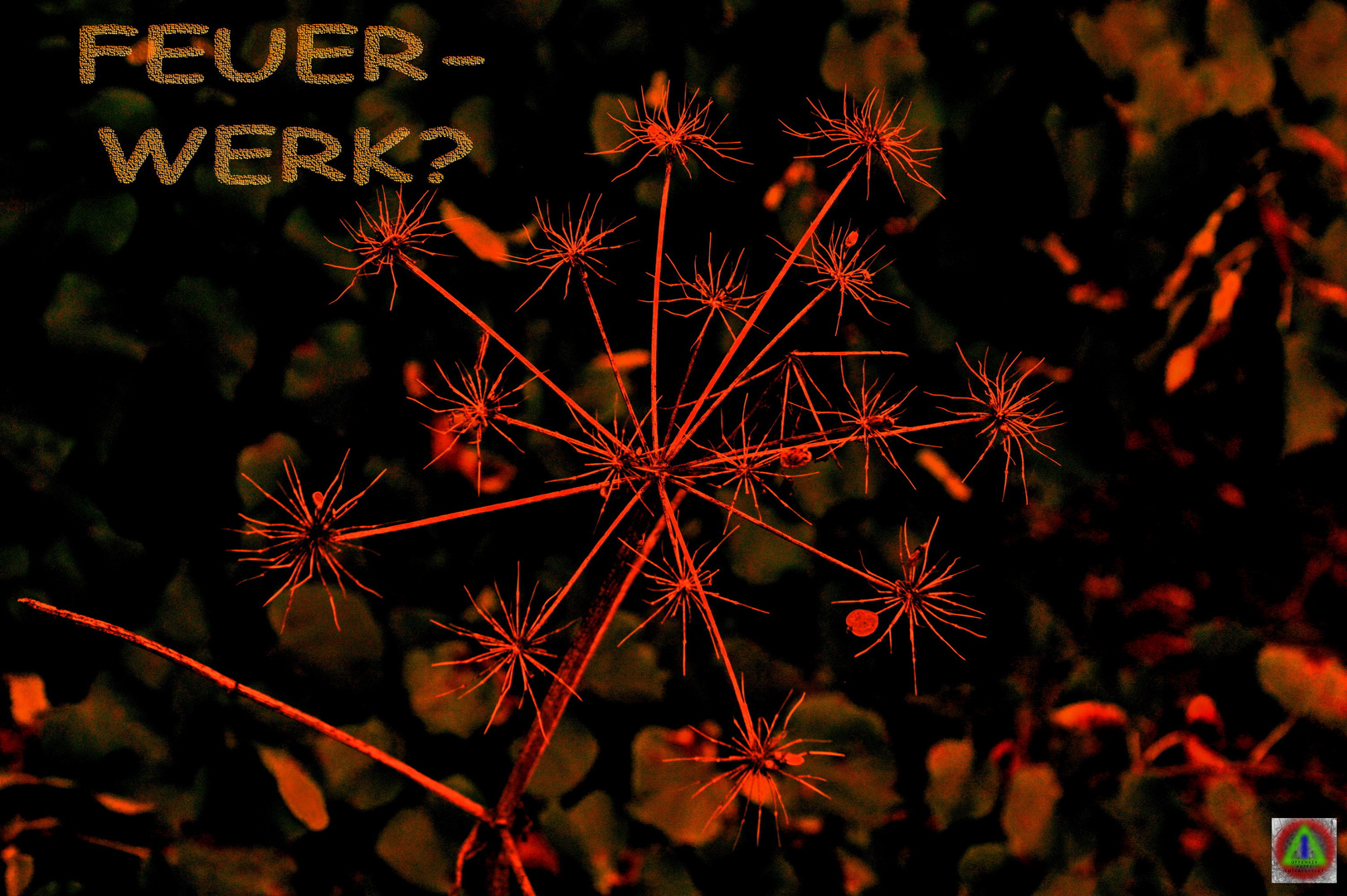 FEUERWERK