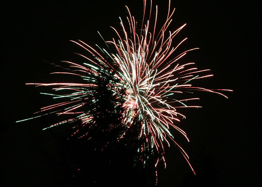 Feuerwerk hinter Tannenbaum