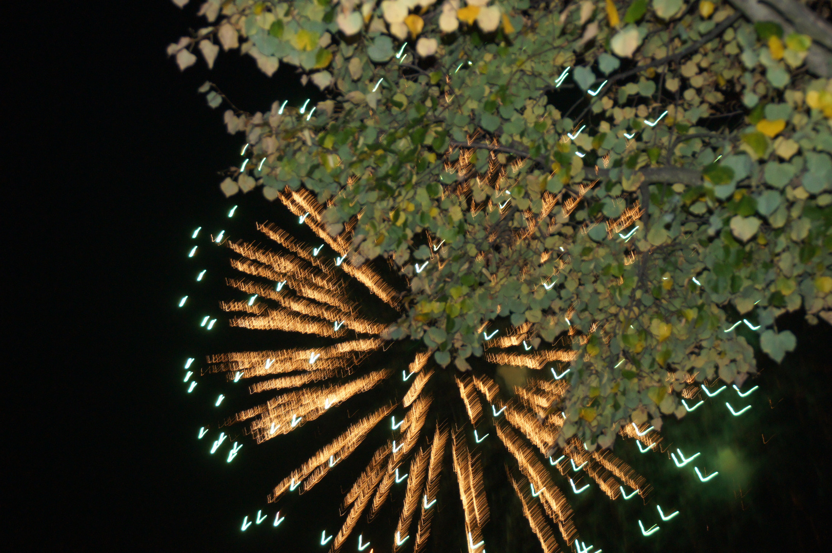 Feuerwerk im Herbst