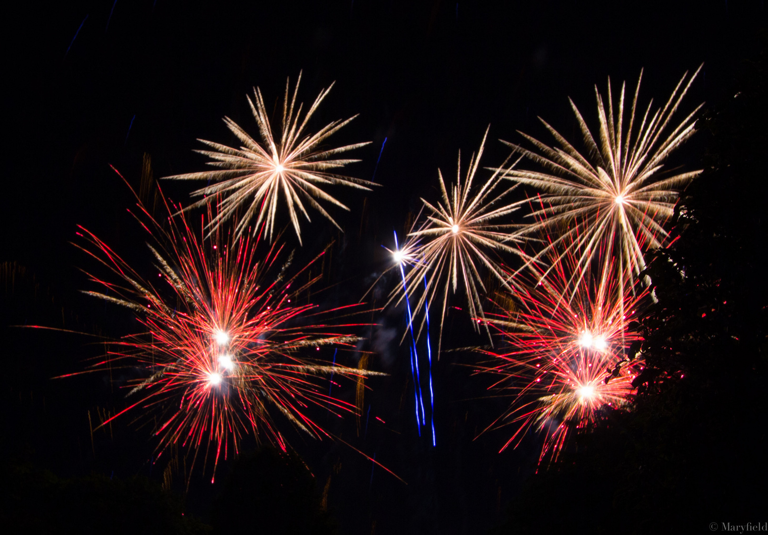 Feuerwerk im Rosengarten