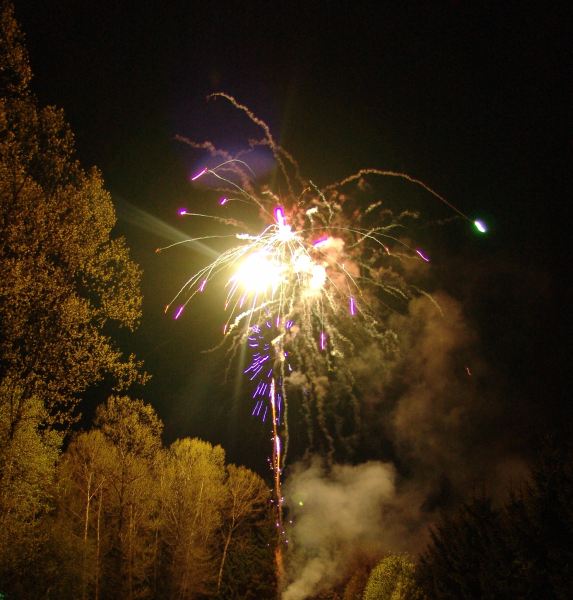 Feuerwerk im Wald