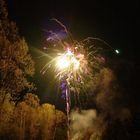 Feuerwerk im Wald