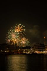 Feuerwerk im Westfalenpark Dortmund