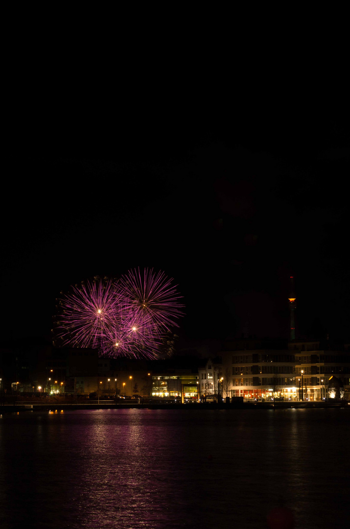 Feuerwerk im Westfalenpark Dortmund II