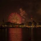 Feuerwerk im Westfalenpark Dortmund III