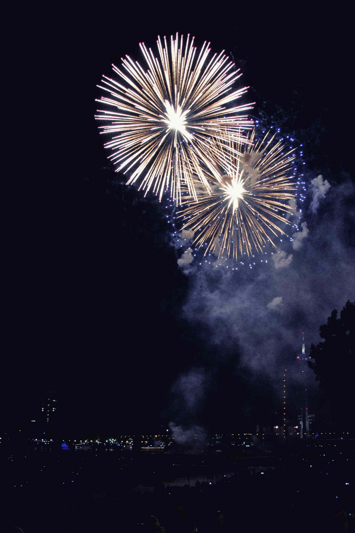 Feuerwerk in Düsseldorf am Japantag