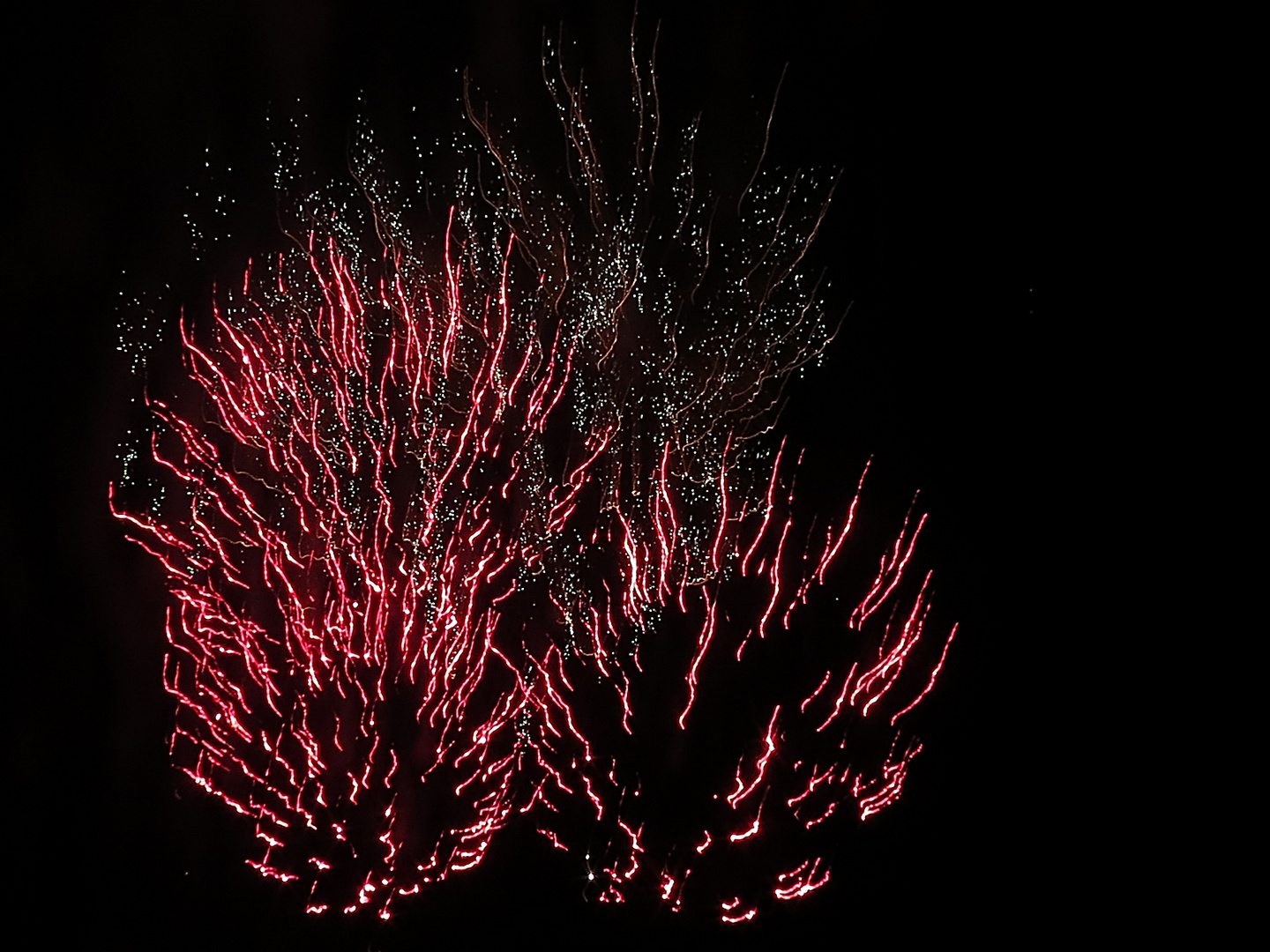 Feuerwerk in Langenargen (Bodensee) -2-