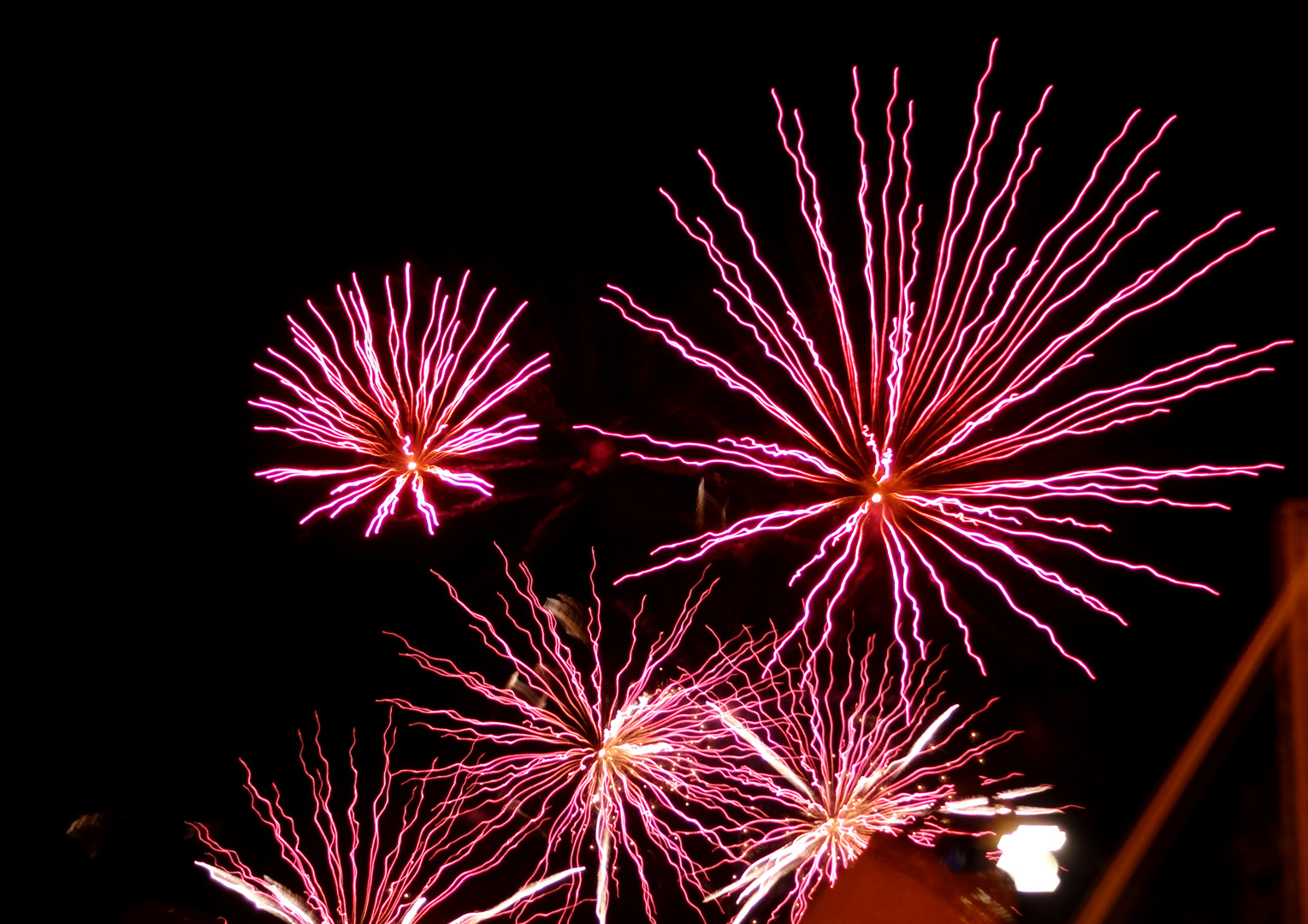 Feuerwerk in Pink