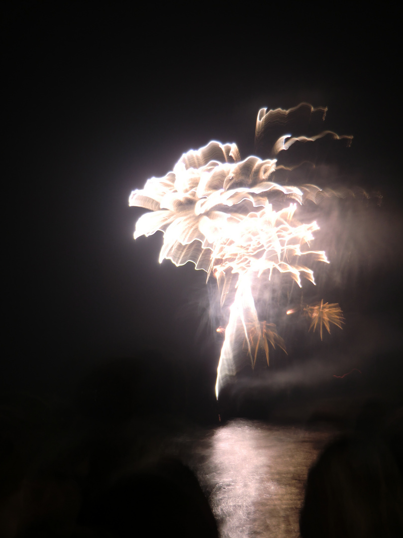 Feuerwerk in Rees