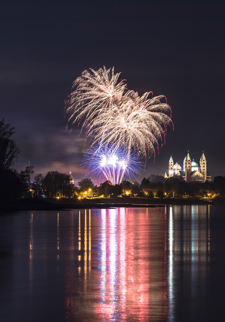 Feuerwerk in Speyer