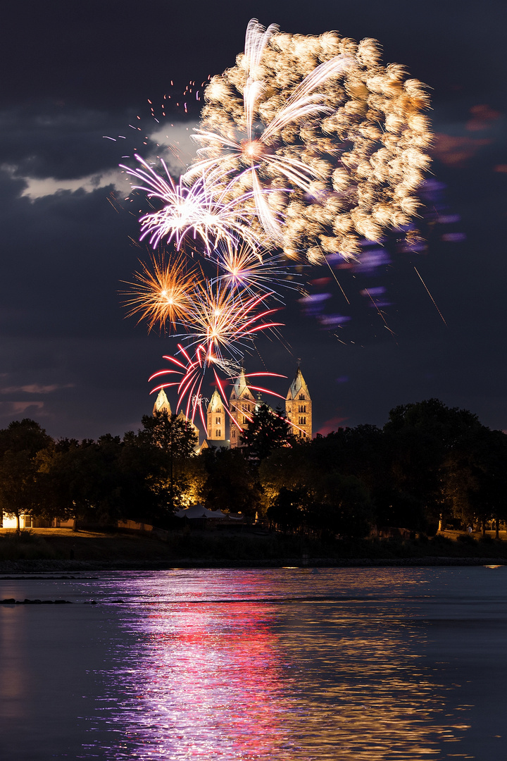 Feuerwerk in Speyer