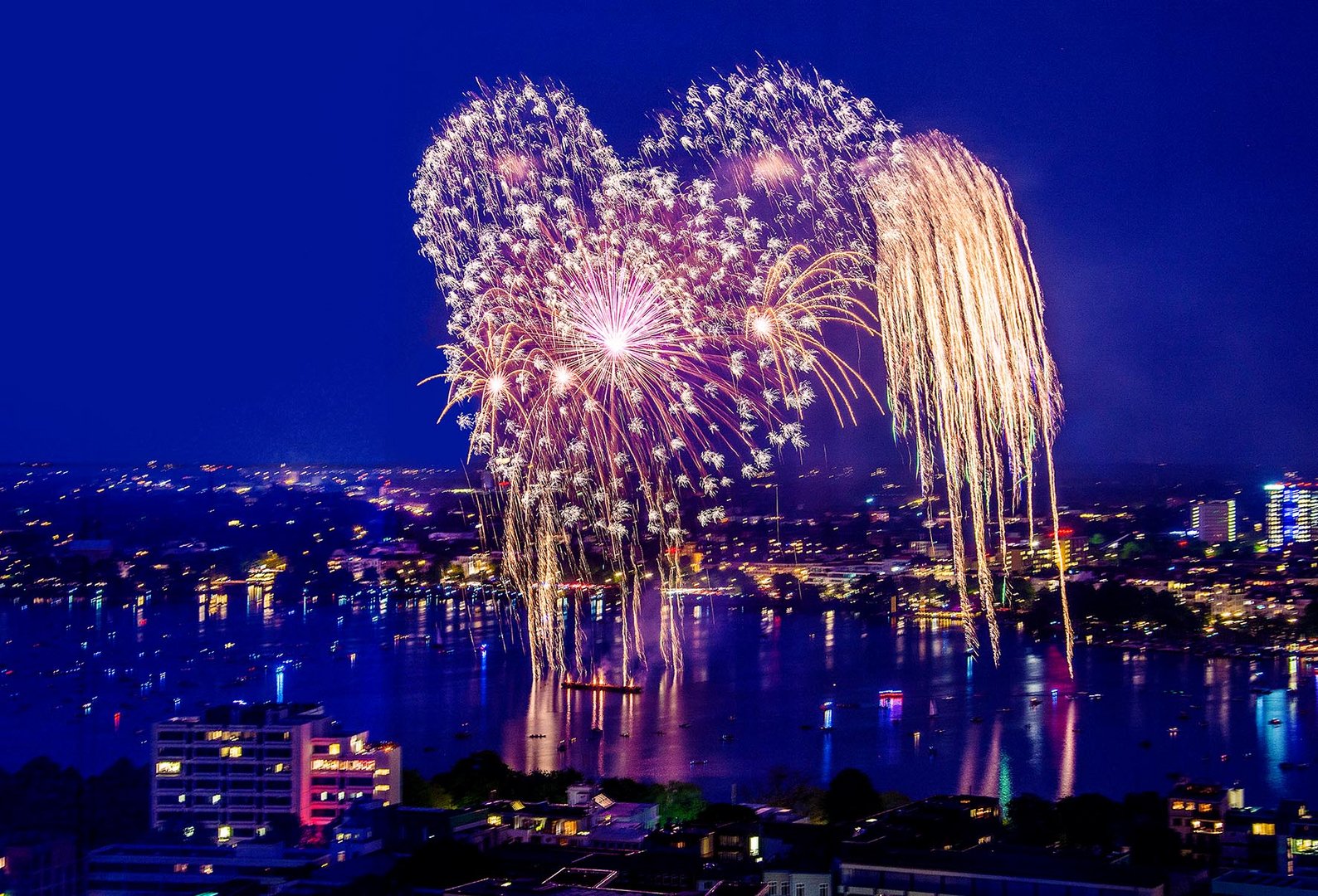 Feuerwerk Japanisches Kirschblütenfest Hamburg -2-