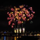 Feuerwerk Japantag Düsseldorf