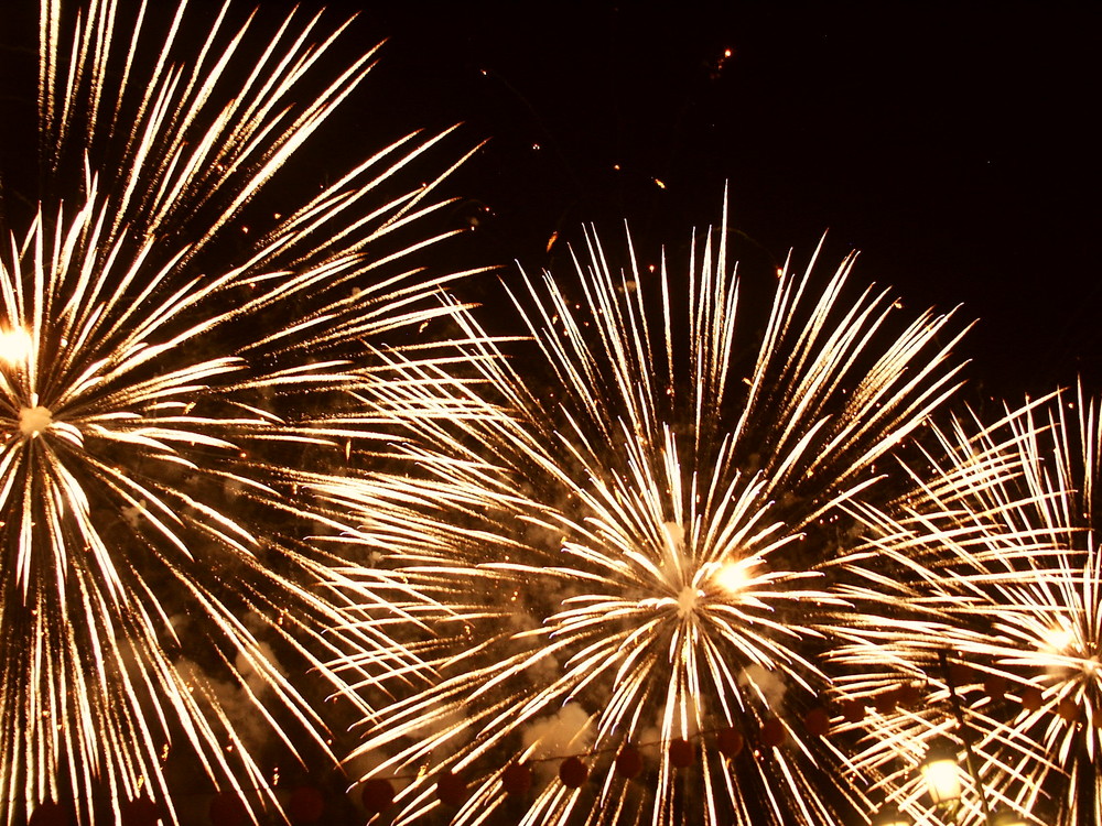 Feuerwerk, Juli 2009 Venedig