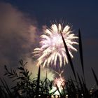 Feuerwerk Kirschblütenfest 2014 - V