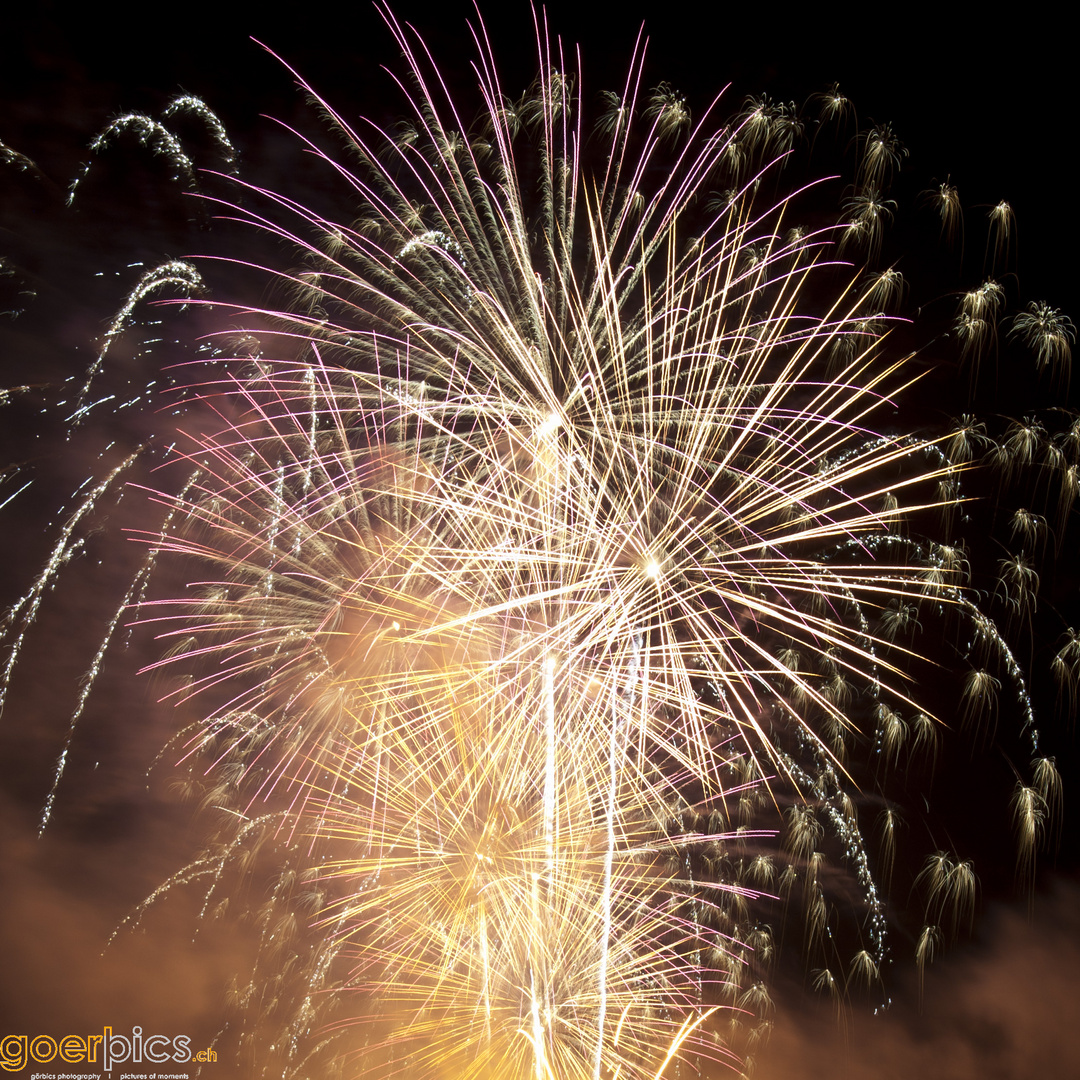 Feuerwerk Lugano 01.08.2010 (5)