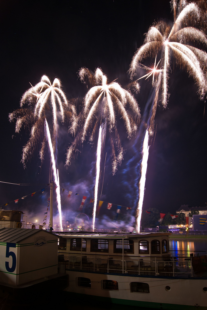 Feuerwerk Palmen