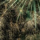 Feuerwerk Riol an der Mosel