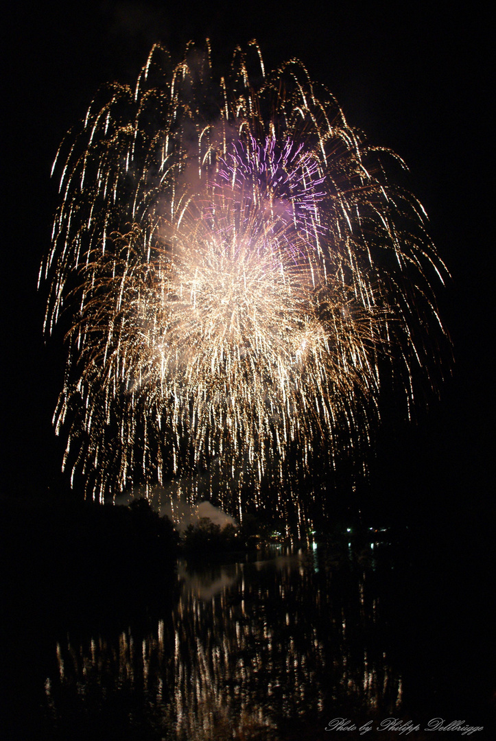 Feuerwerk Salem 2010 (2)