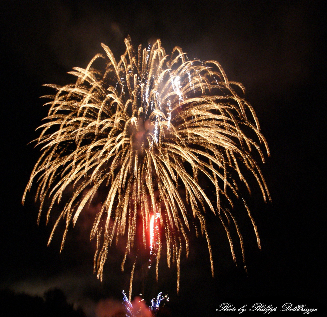 Feuerwerk Salem 2010 (4)