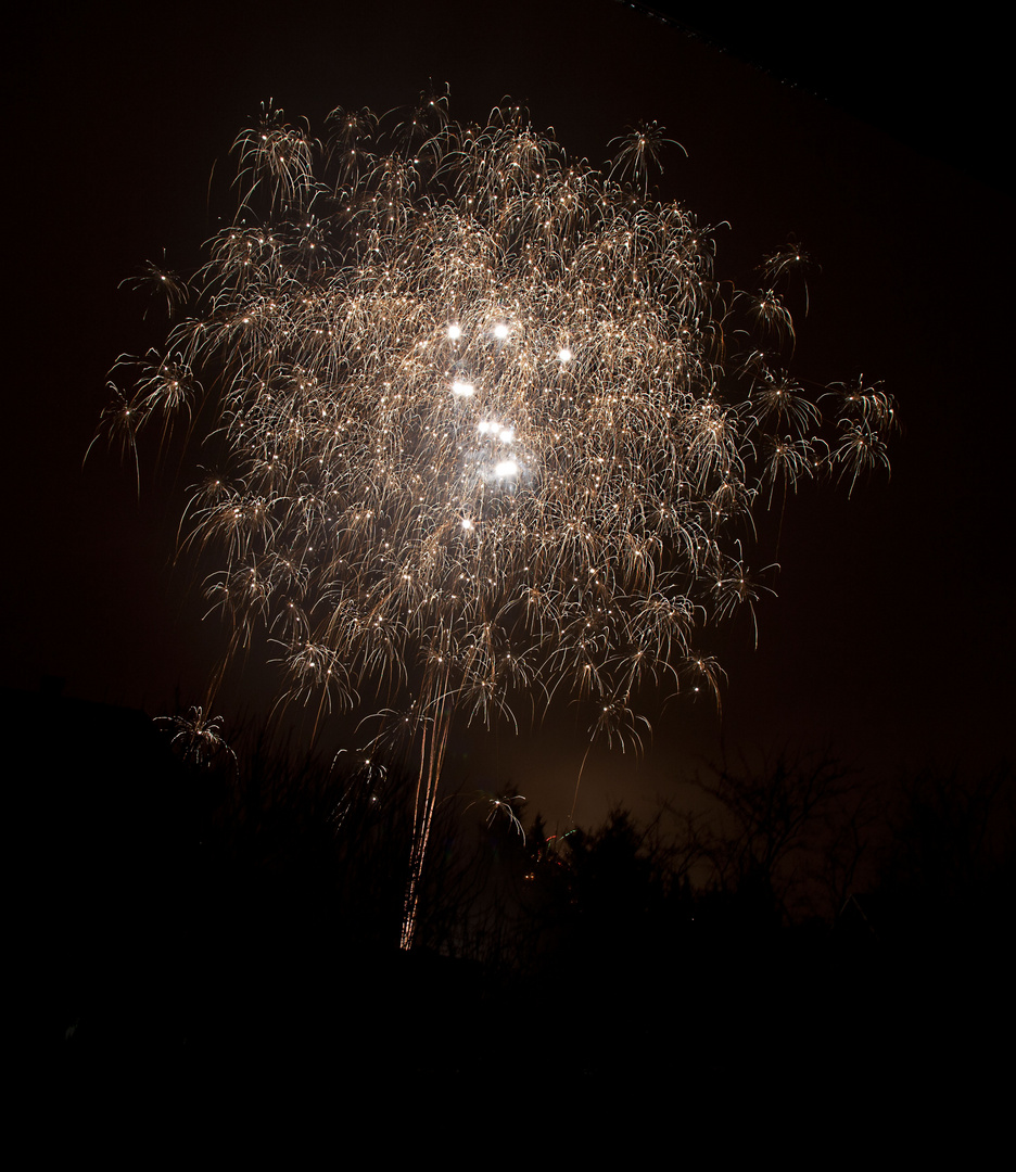 Feuerwerk Silvester Bleckede II