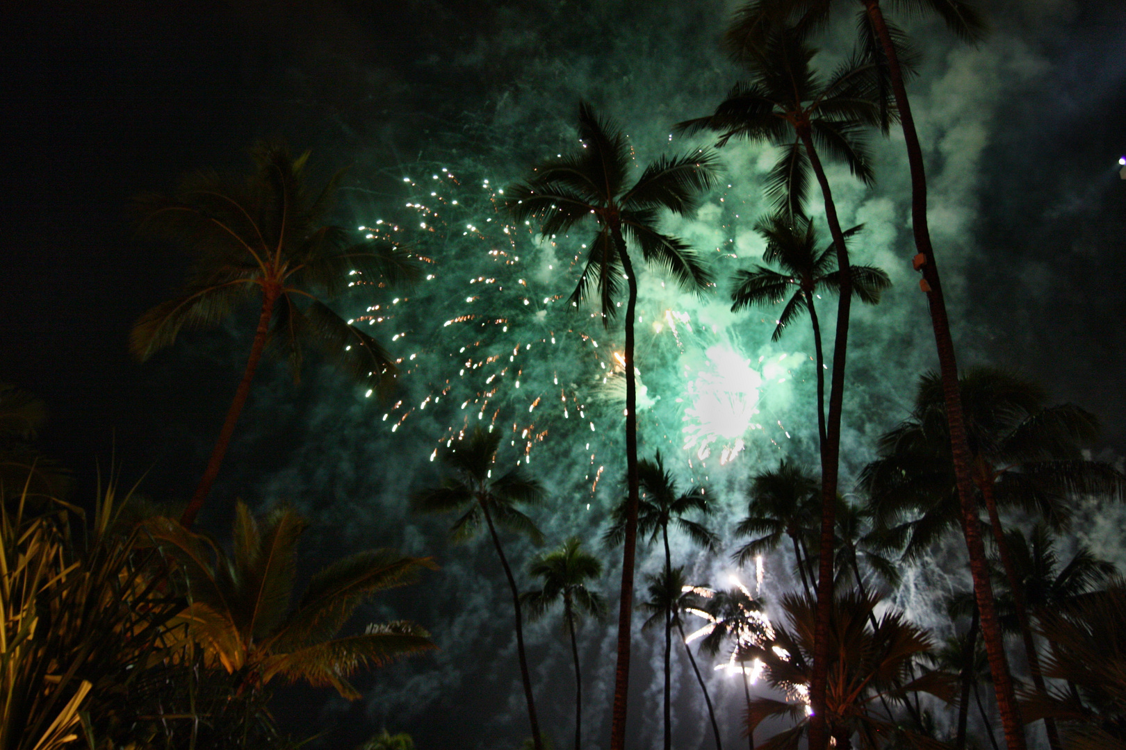 Feuerwerk über Palmen