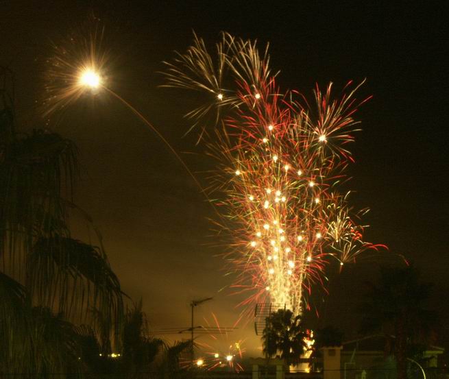 Feuerwerk über Palmen