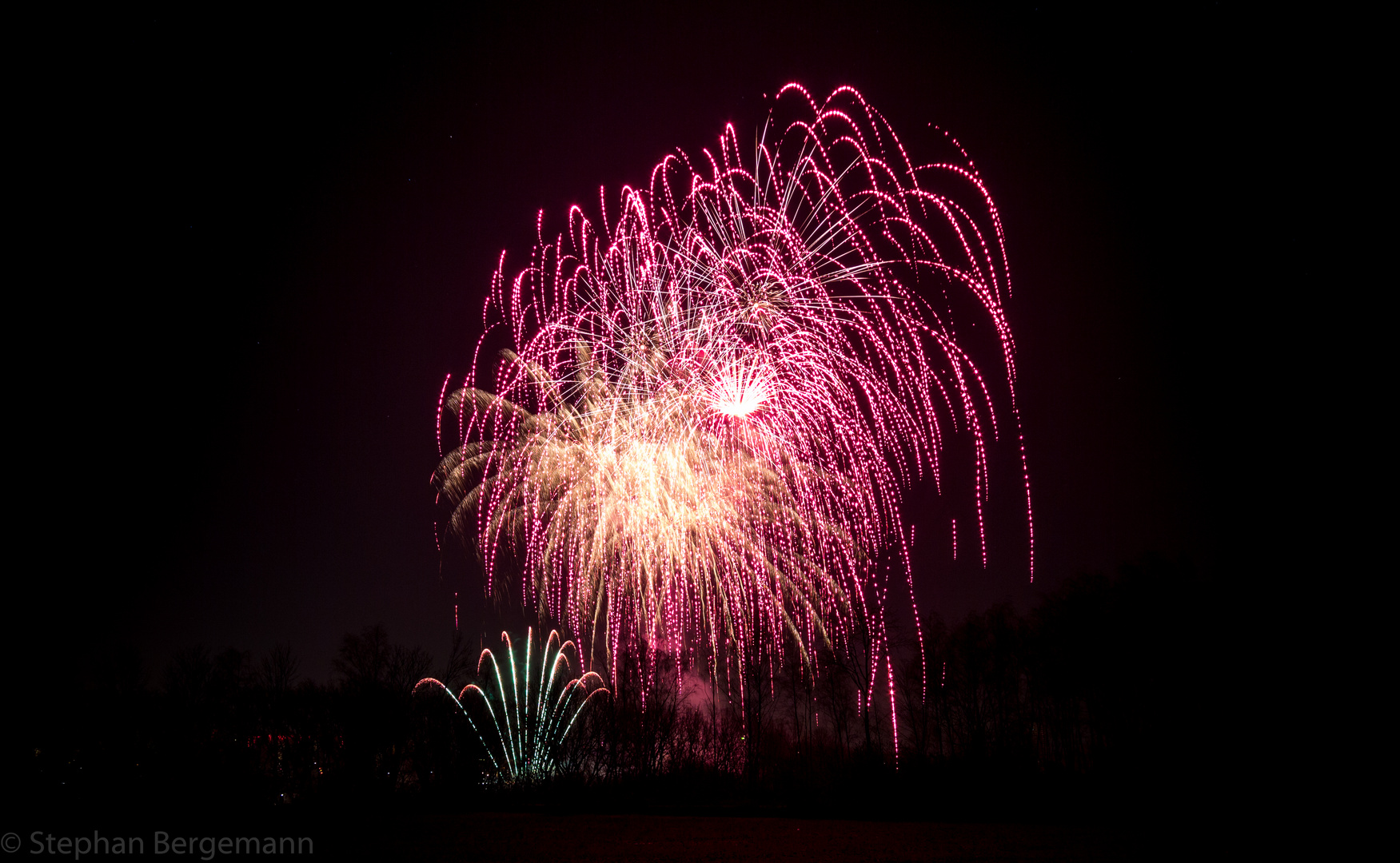 Feuerwerk Westfalenpark Winterleuchten (4)