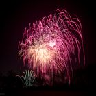 Feuerwerk Westfalenpark Winterleuchten (4)