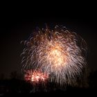 Feuerwerk Westfalenpark Winterleuchten