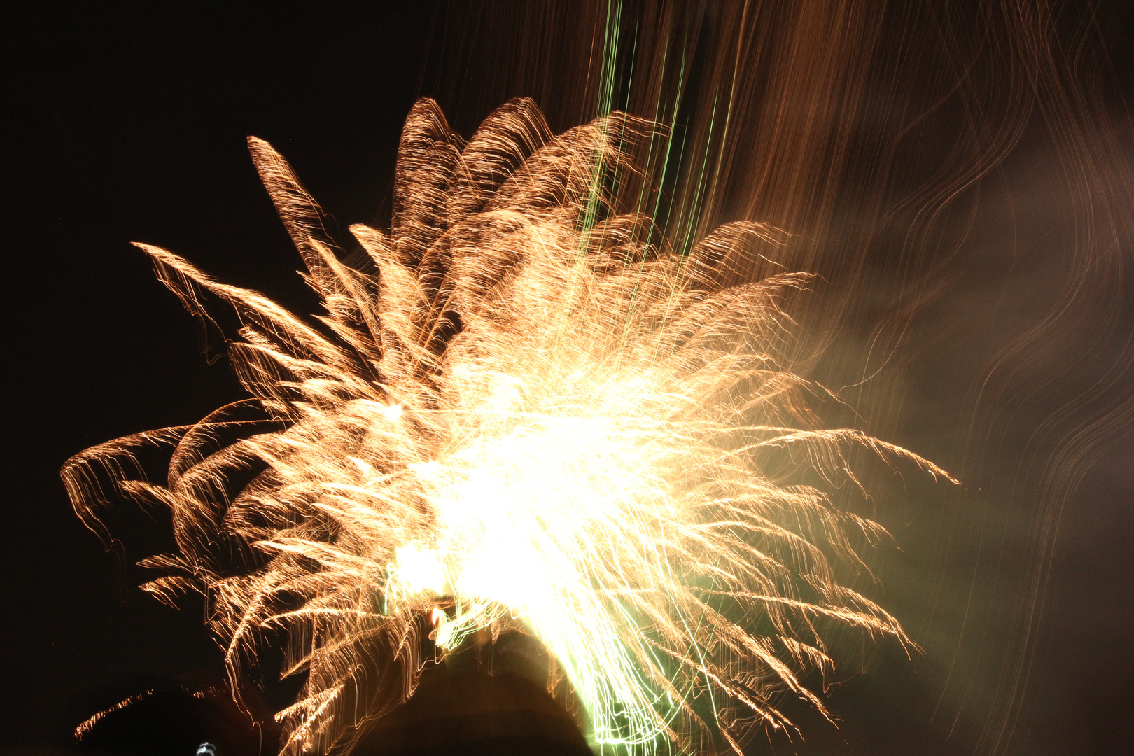 Feuerwerk wie im Garten gewachsen