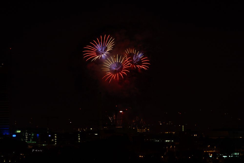 Feuerwerk zum 1.August 2014 in Basel - Bild 1