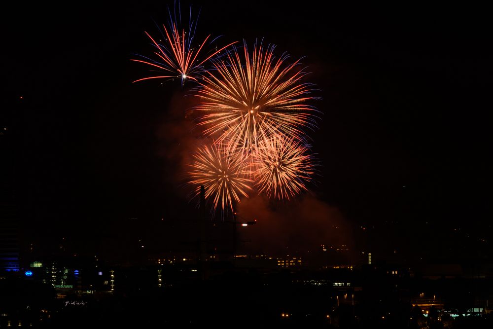 Feuerwerk zum 1.August 2014 in Basel - Bild 2