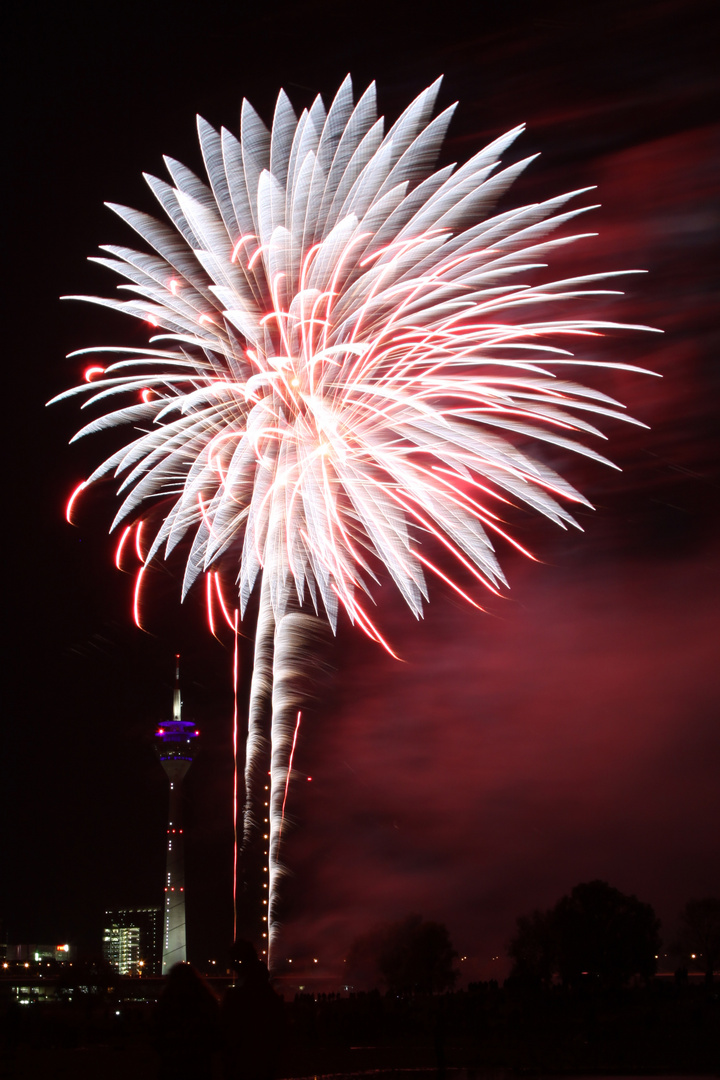 Feuerwerk zum Japantag in Düsseldorf