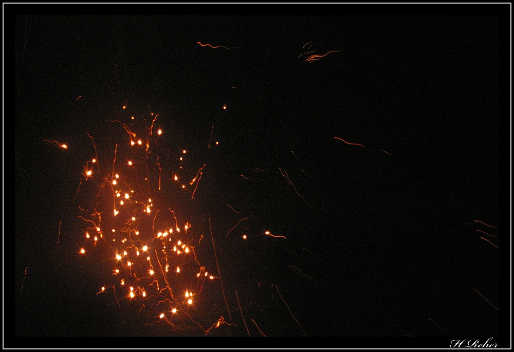 Feuerwerk5 begrüßt 2010