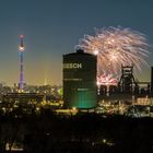 Feuerwerkfinale beim Winterleuchten im Dortmunder Westfalenpark