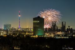 Feuerwerkfinale beim Winterleuchten im Dortmunder Westfalenpark