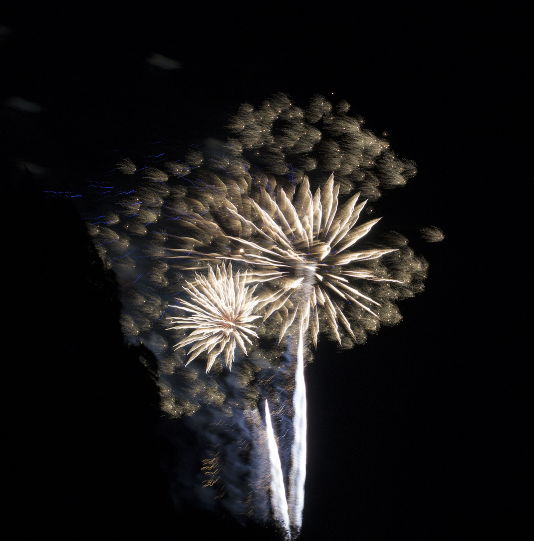 Feuerwerkspalmen Sommernachtstraum 2013