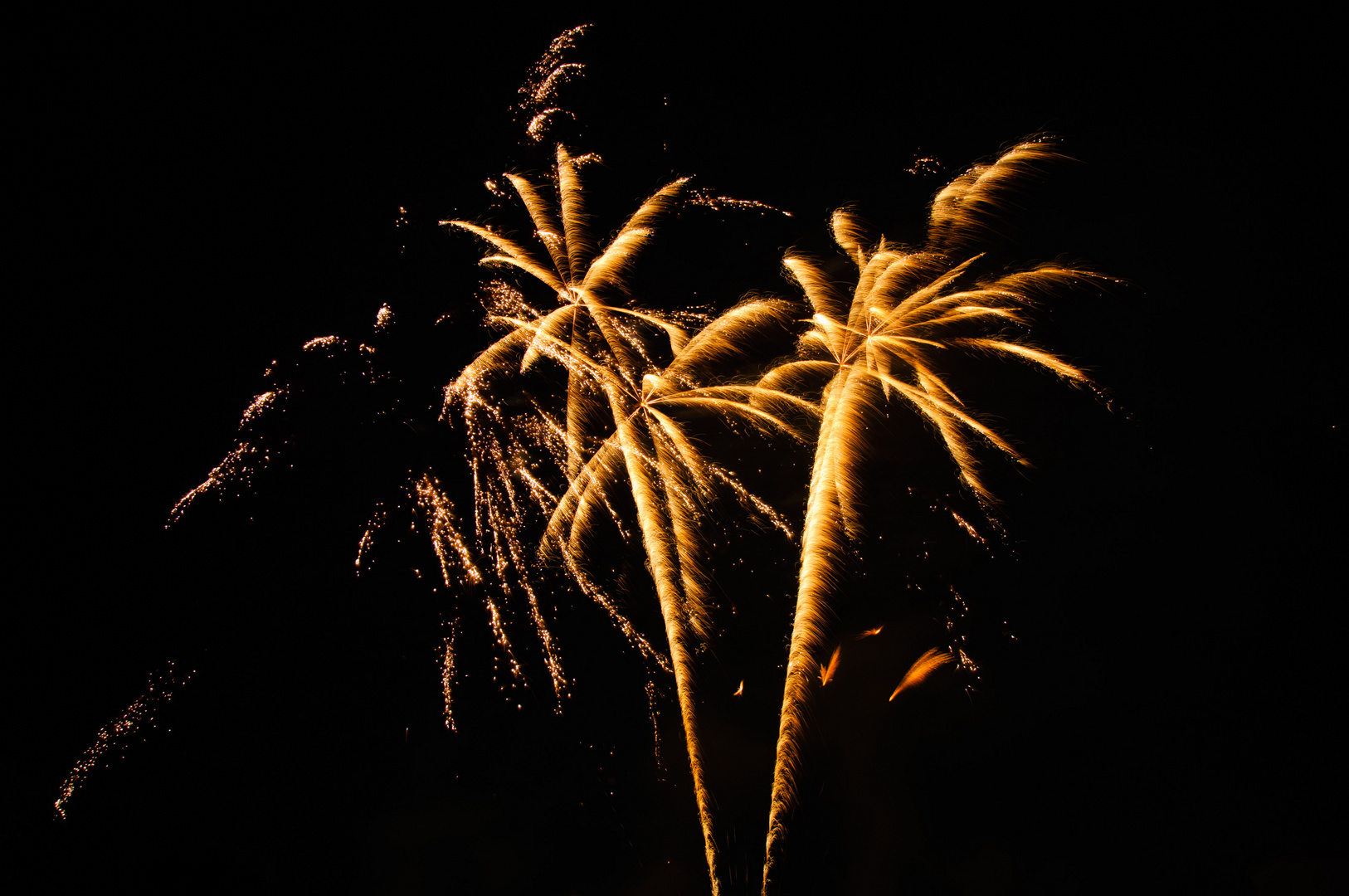 Feuerzauber - 3 "Palmen aus Licht"